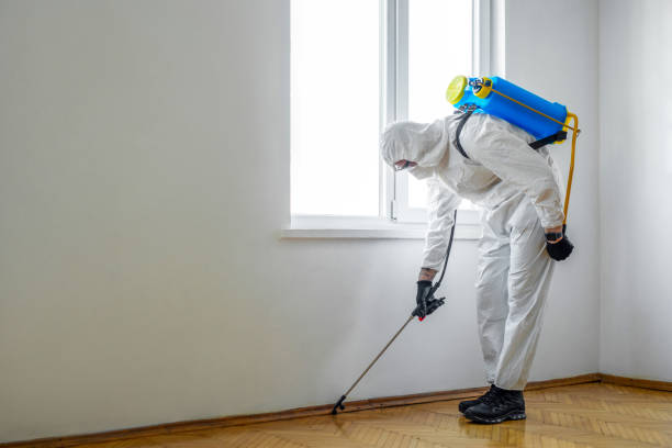 Best Commercial Pest Control  in Roosevelt Park, MI